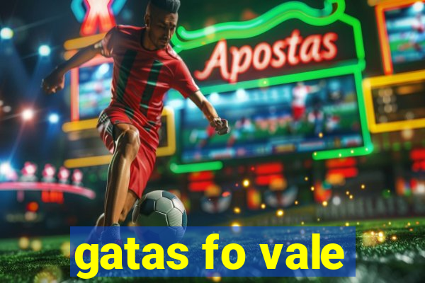 gatas fo vale